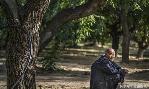 門前種桑樹|農村俗語「前不栽桑」，為什麼這兩個地方，家家門前。